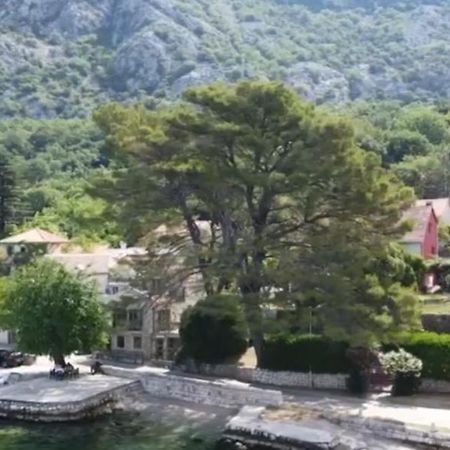 Apartment On The Shore Of The Bay Of Kotor With Free Wi-Fi Dış mekan fotoğraf