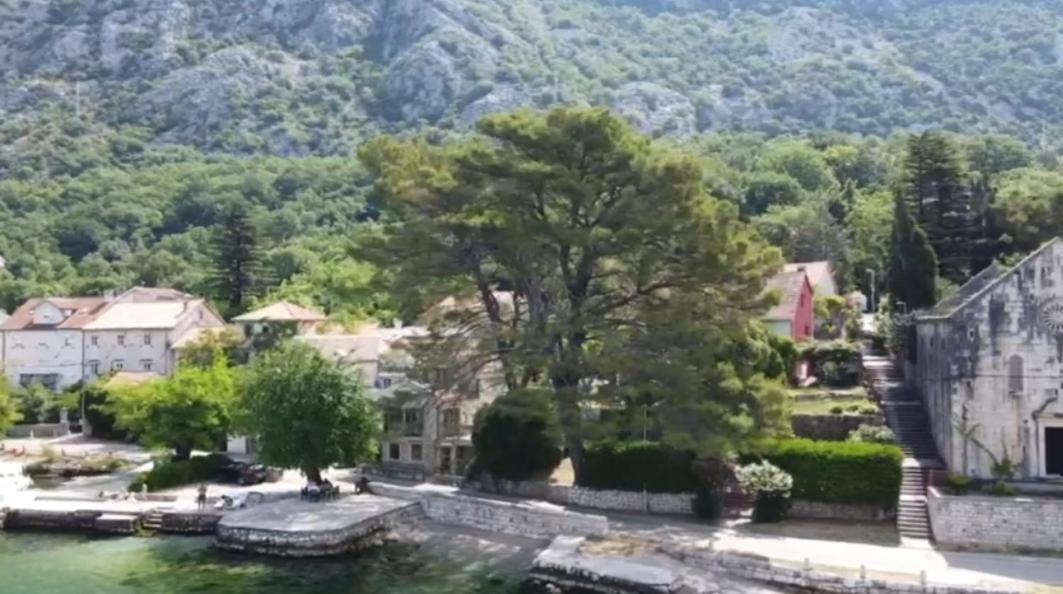 Apartment On The Shore Of The Bay Of Kotor With Free Wi-Fi Dış mekan fotoğraf